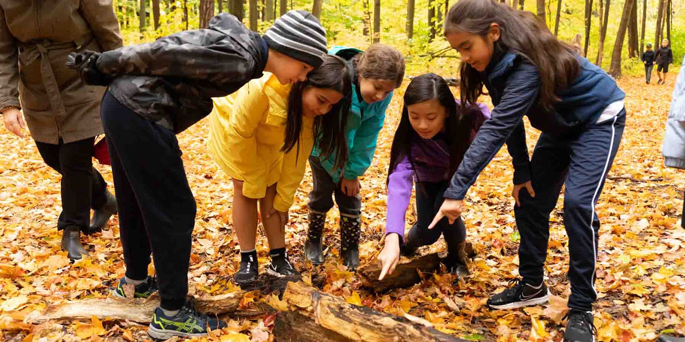 Group of Upper Elementary children in the woods on a colourful fall day.