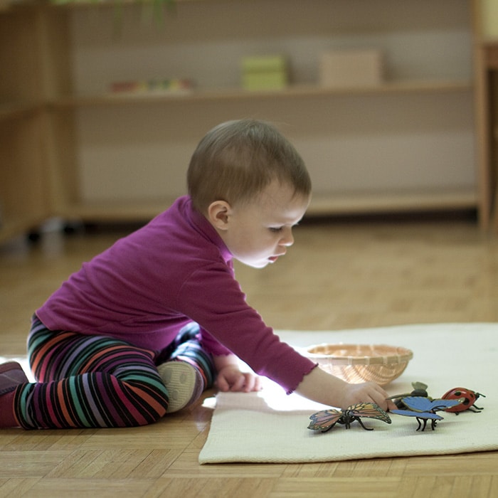 A Toddler child works on a floor mat with models of butterflies.