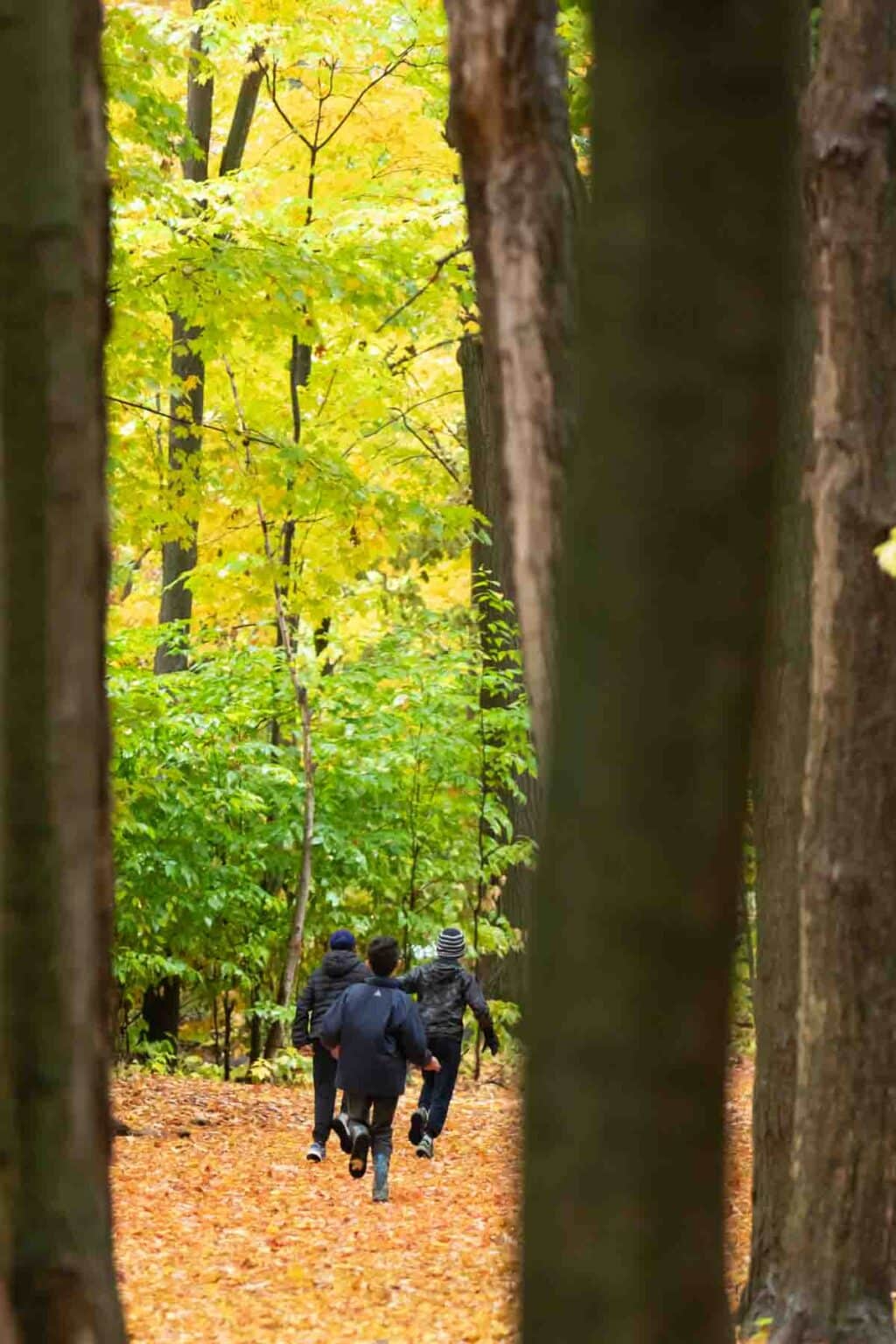 Three Elementary children running through the woods on a colourful fall day.