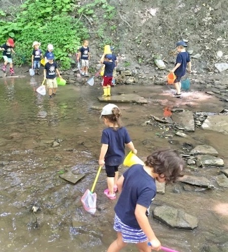Children in a creek with nets and buckets.