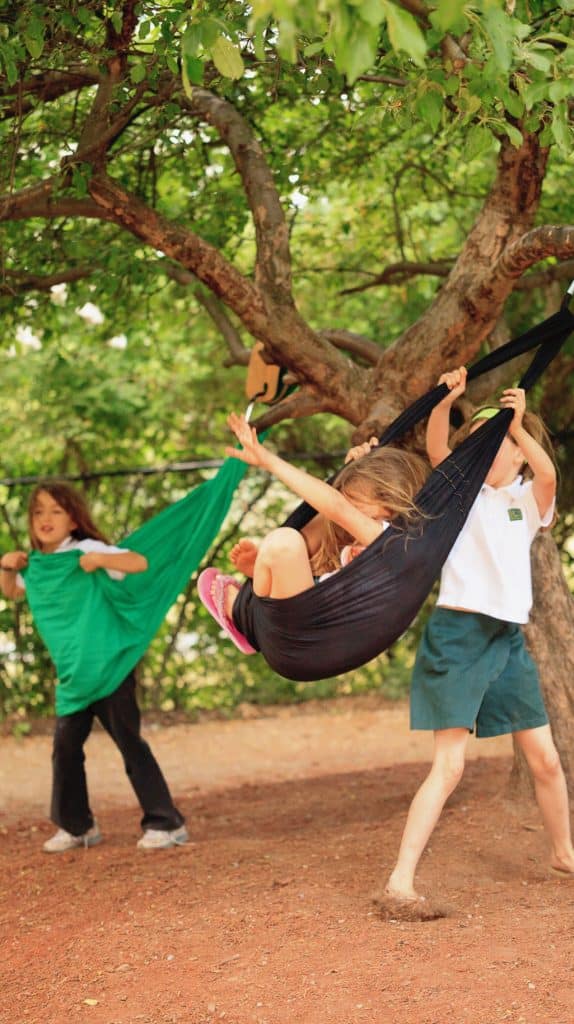 Children playing with homemade tree swings.